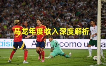 马龙年度收入深度解析