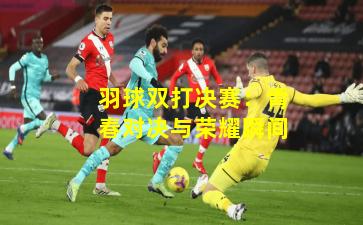 羽球双打决赛：青春对决与荣耀瞬间